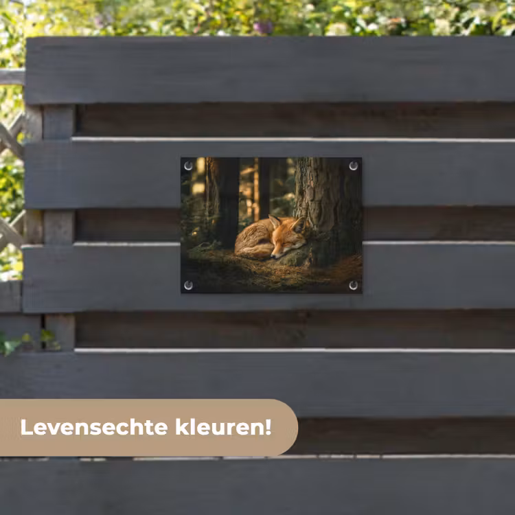 Tuinposter - Vos - Bos - Slapen — 6