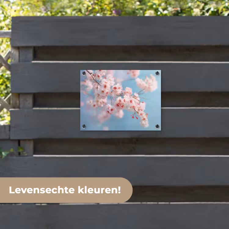 Tuinposter - Takken - Bloesems - Roze — 6
