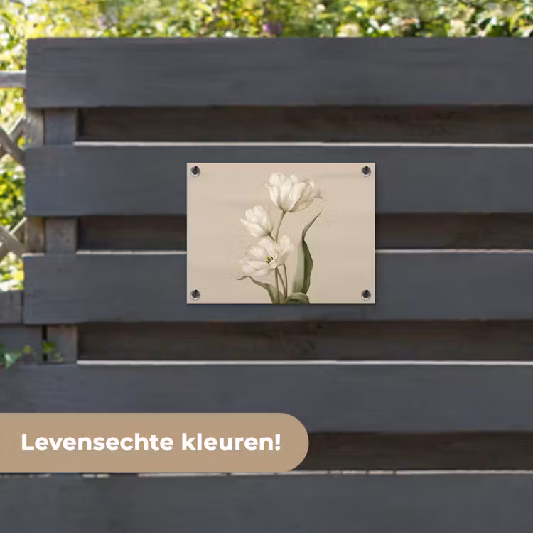 Tuinposter - Tulpen - Wit - Bladeren — 6