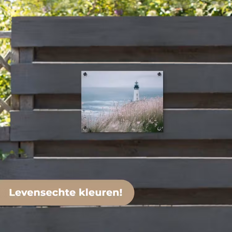 Tuinposter - Vuurtoren - Klif - Zee - Bloemen — 6