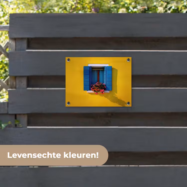 Tuinposter - Raam - Bloemen - Gele muur — 6