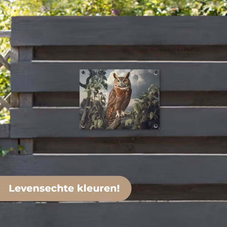 Tuinposter - Uil - Tak - Boom - Veren — 6