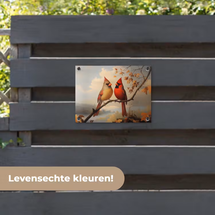 Tuinposter - Vogels - Rood - Tak - Herfstbladeren — 6