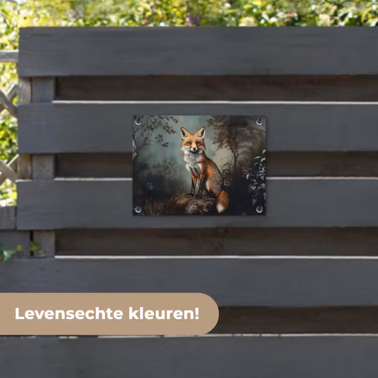 Tuinposter - Vos - Rots - Bos - Oranje — 6