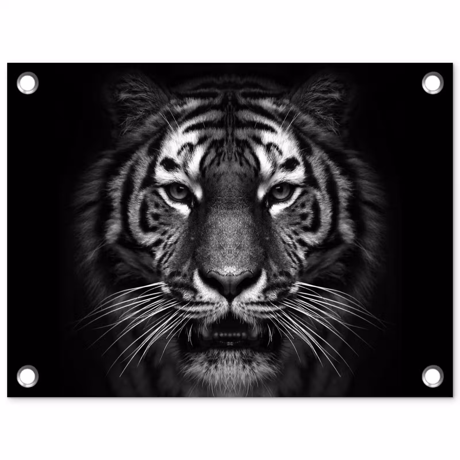 Tuinposter - Tijger - Dieren - Zwart - Wit - Portret - Wild — 1