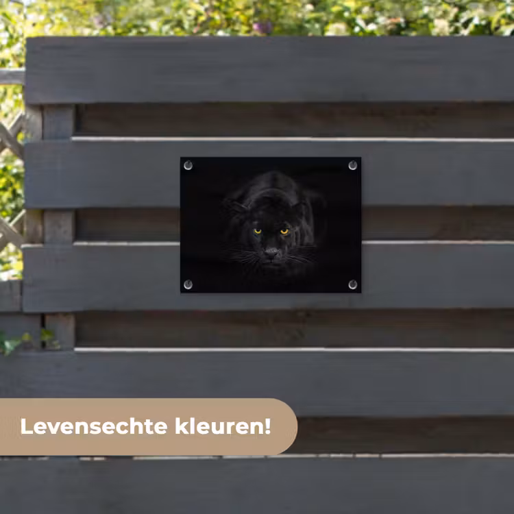 Tuinposter - Panter - Dieren - Zwart - Ogen — 6