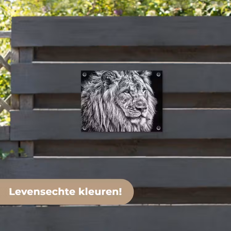 Tuinposter - Portret - Leeuw - Zwart wit — 6