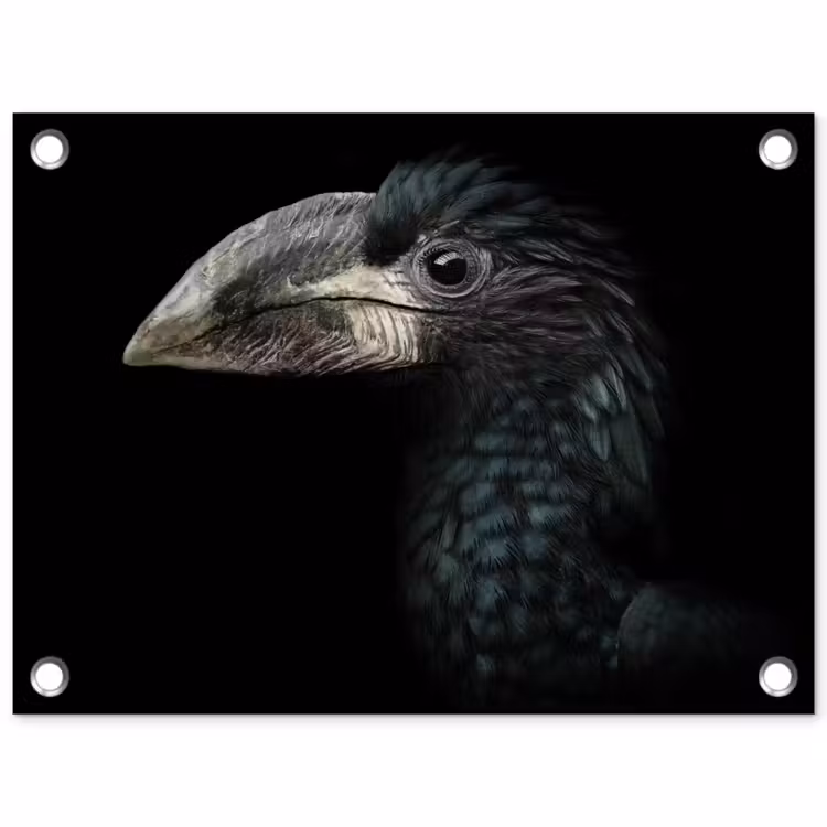 Tuinposter - Vogel - Portret - Neushoornvogel - Zwart - Dieren — 1