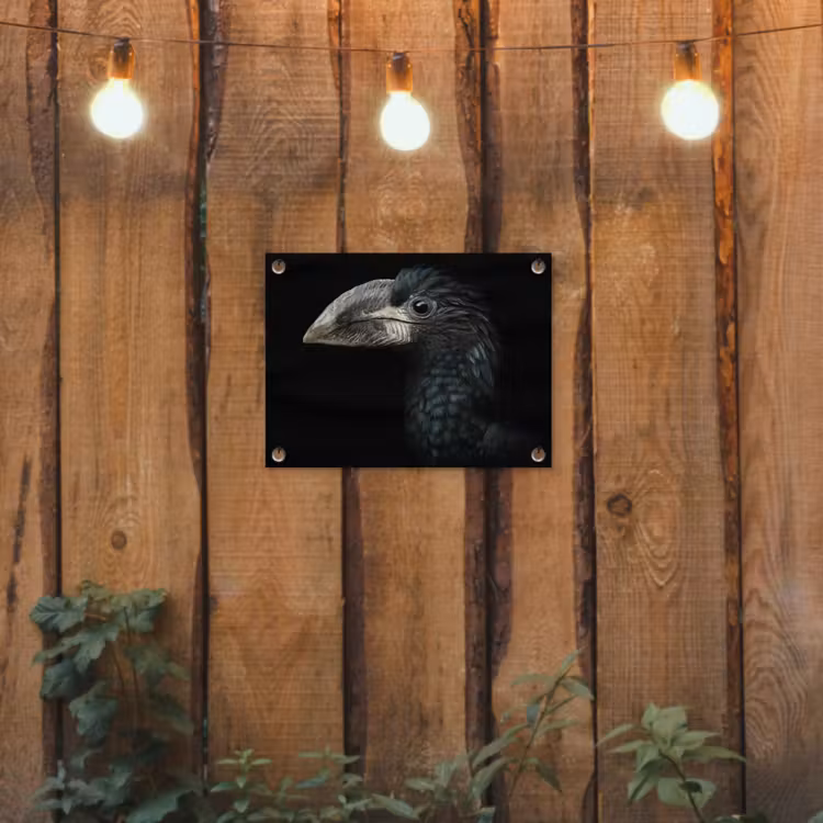 Tuinposter - Vogel - Portret - Neushoornvogel - Zwart - Dieren — 2