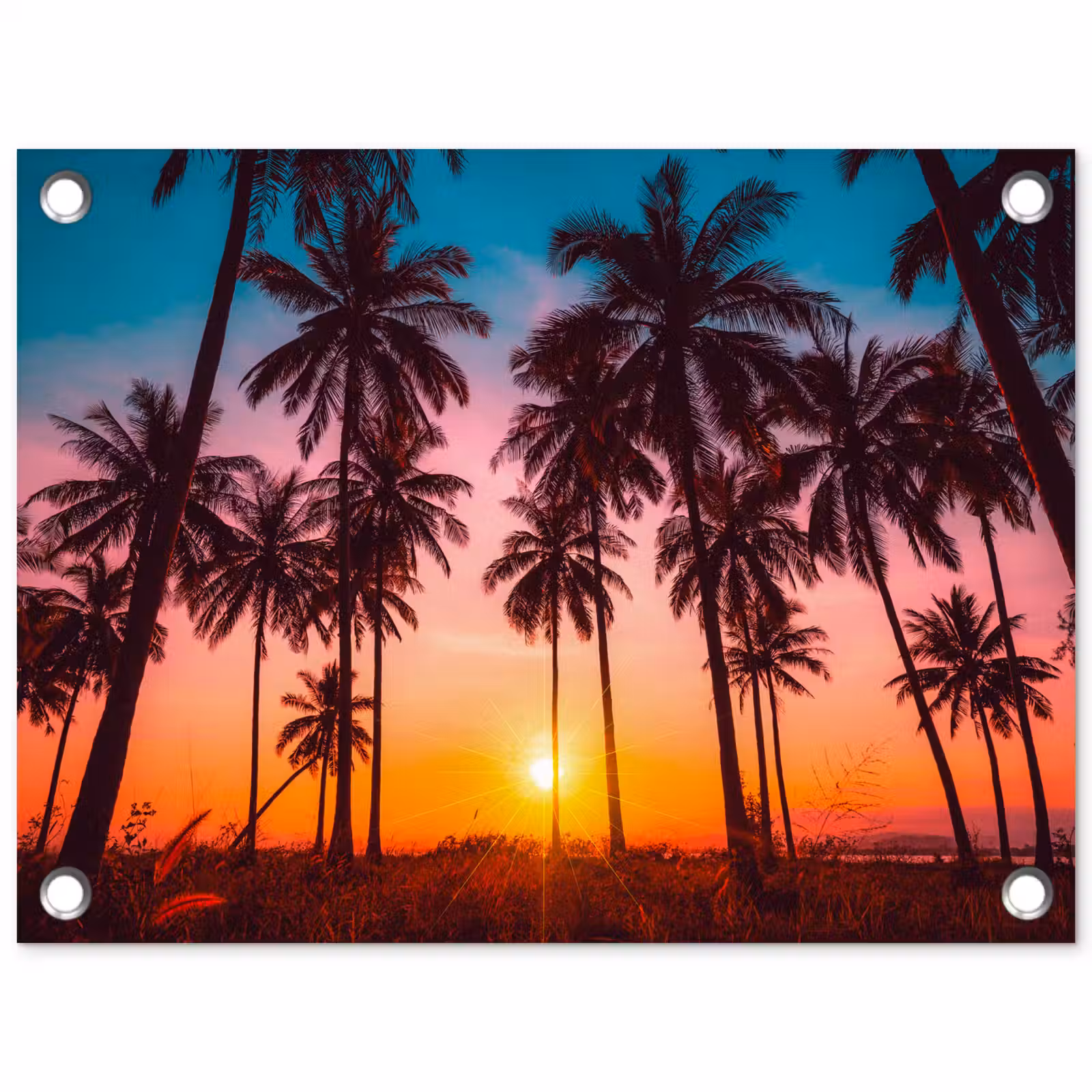 Tuinposter - Palmboom - Zonsondergang - Horizon - Strand - Oranje - Roze — 1