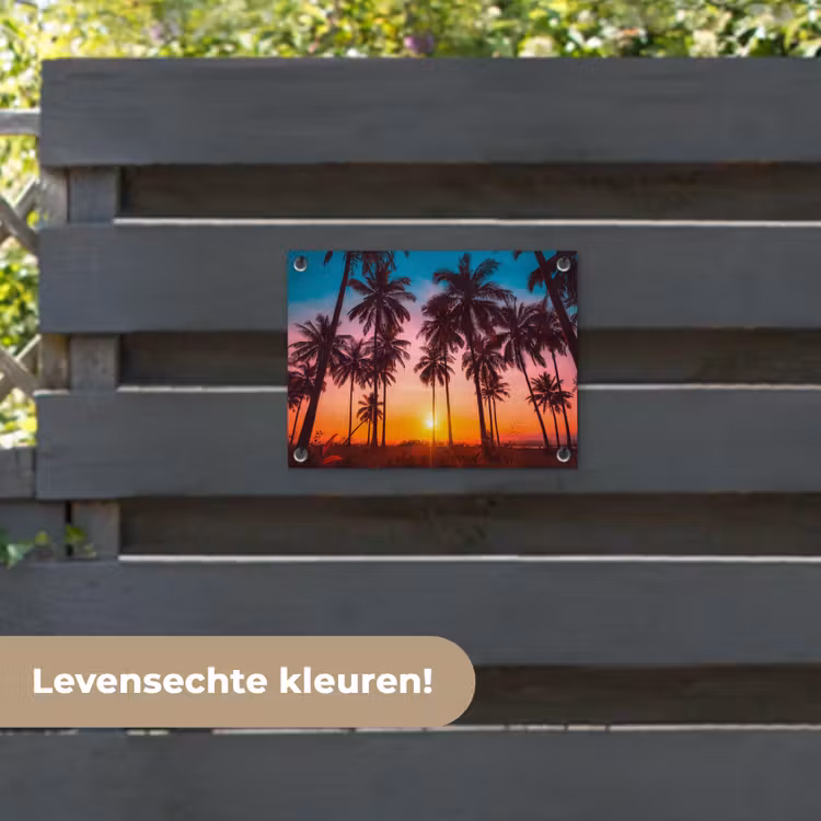 Tuinposter - Palmboom - Zonsondergang - Horizon - Strand - Oranje - Roze — 6