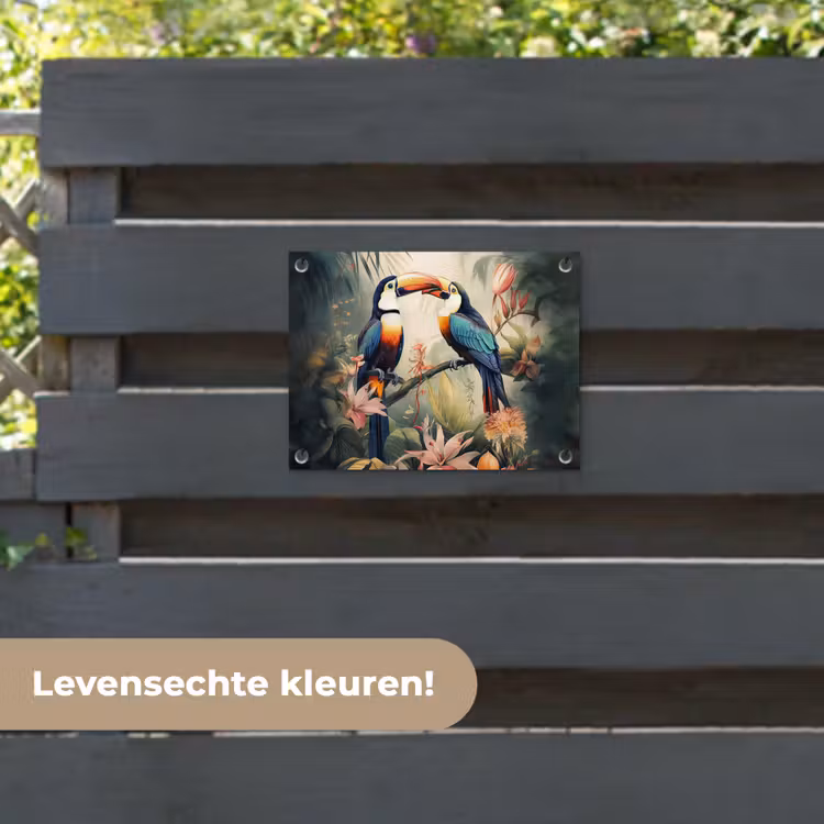 Tuinposter - Toekan - Vogels - Bloemen - Natuur - Jungle — 6