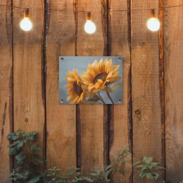 Tuinposter - Zonnebloemen - Geel - Wazig — 3