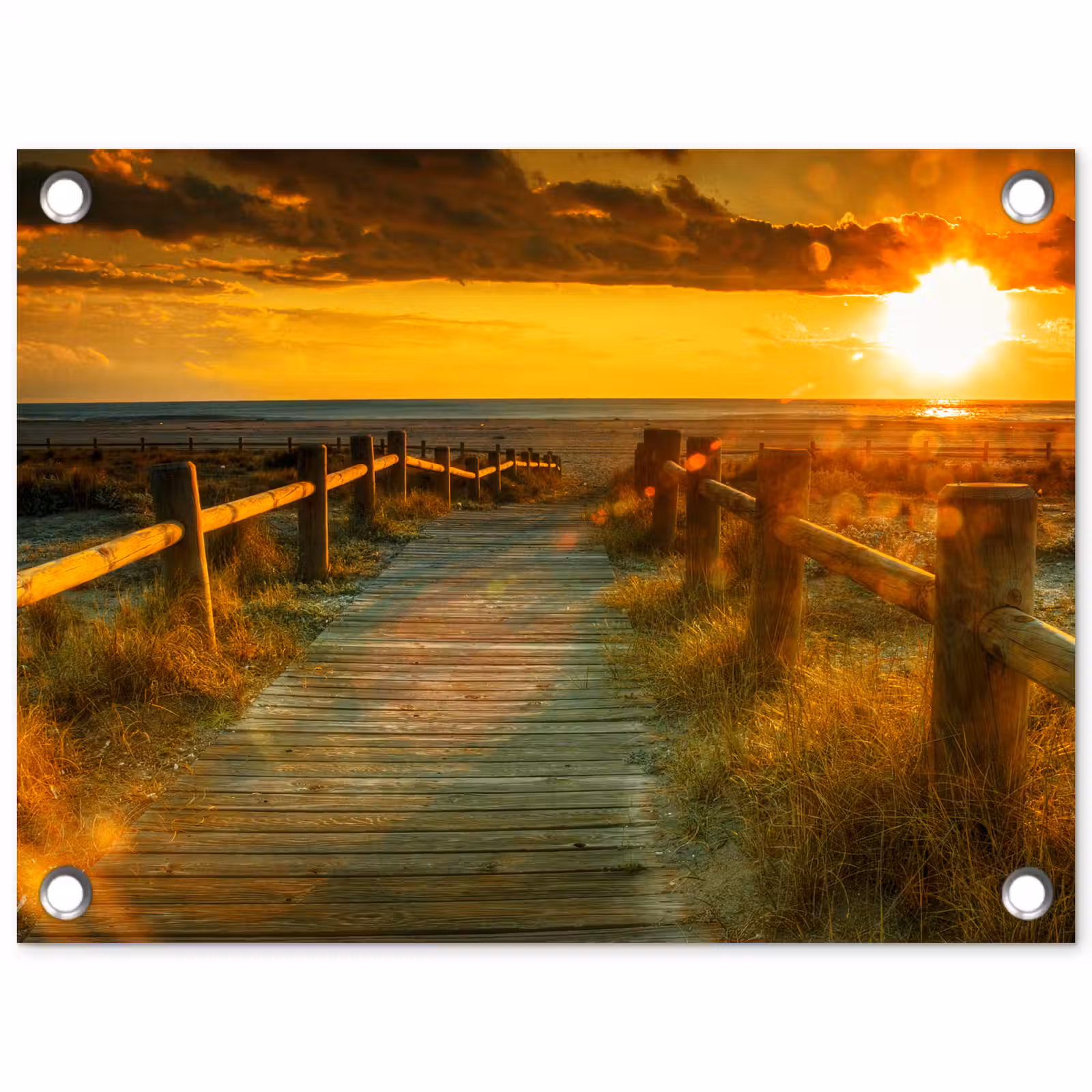 Tuinposter - Zon - Strand - Duin - Horizon - Gras - Pad - Oranje — 1