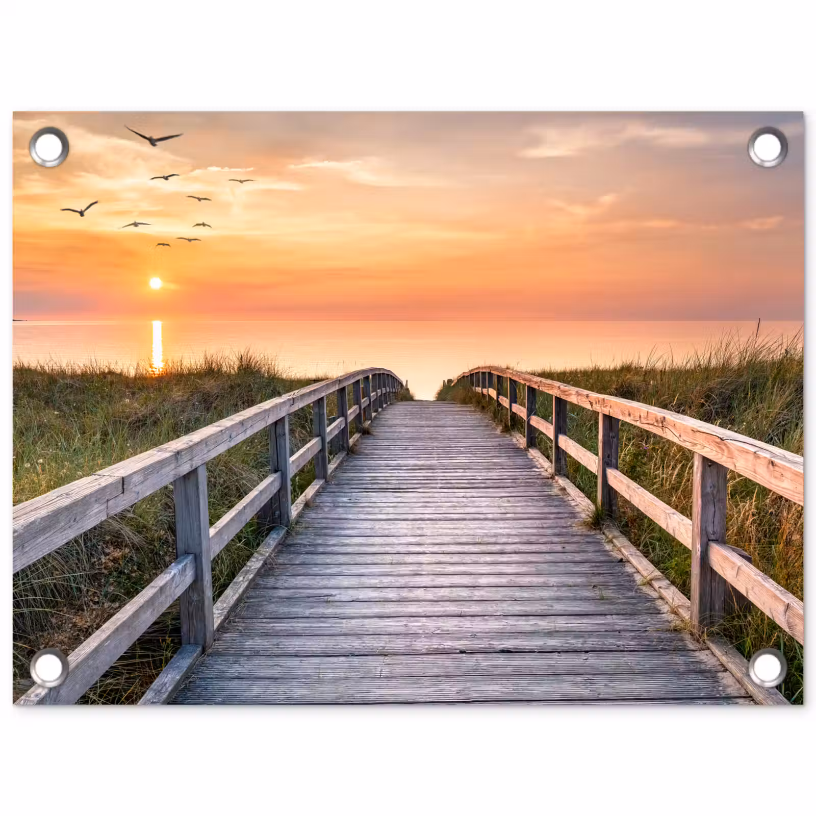 Tuinposter - Zonsonderang - Zee - Pad - Gras - Duin - Vogels — 1