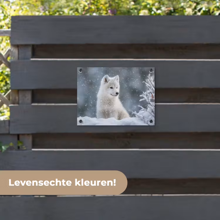 Tuinposter - Wolf - Pup - Sneeuw — 6