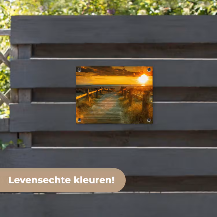 Tuinposter - Zon - Strand - Duin - Horizon - Gras - Pad - Oranje — 6