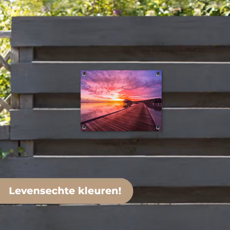 Tuinposter - Steiger - Water - Zon - Roze - Horizon — 6