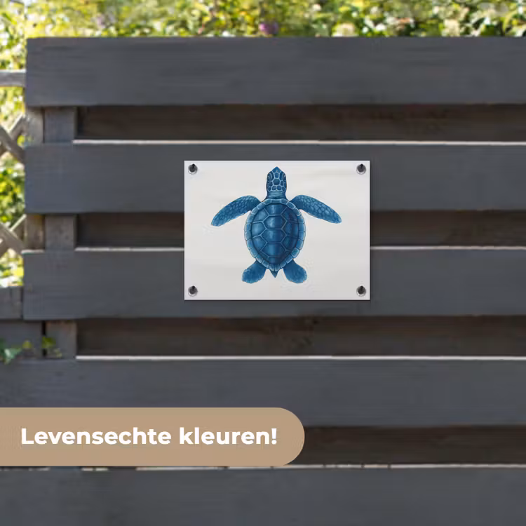 Tuinposter - Schildpad - Blauw - Schild — 6