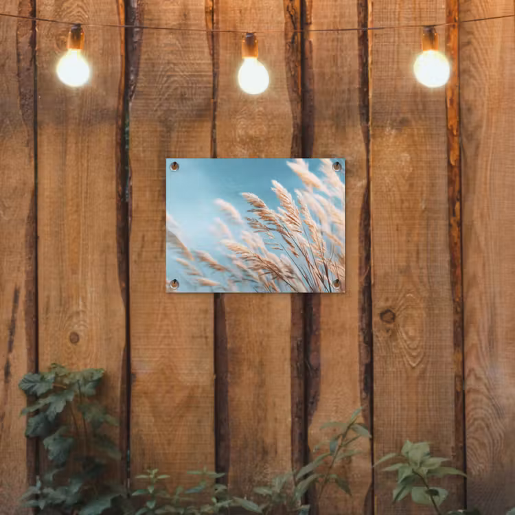 Tuinposter - Siergras - Wind - Lichtbruin — 3