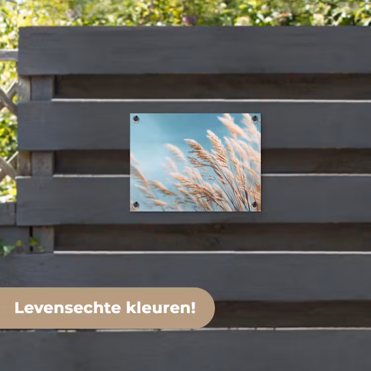Tuinposter - Siergras - Wind - Lichtbruin — 6