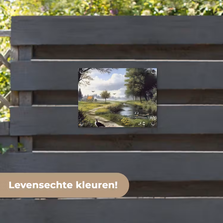 Tuinposter - Zandpad - Groen landschap - Water — 6