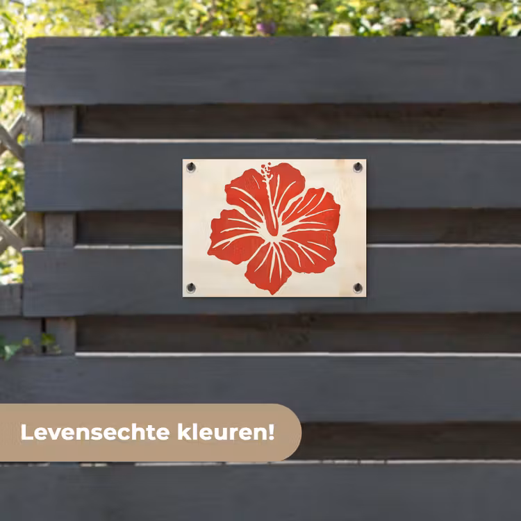 Tuinposter - Rode hibiscusbloem - Textuur achtergrond - Beige — 6