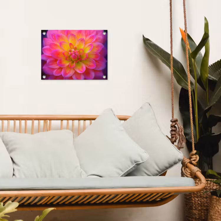 Tuinposter - Roze - Dahlia - Kleurrijk — 4