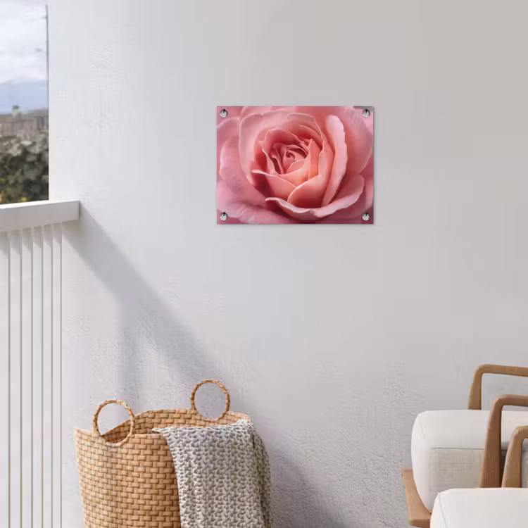 Tuinposter - Roze - Roos - Romantisch — 5