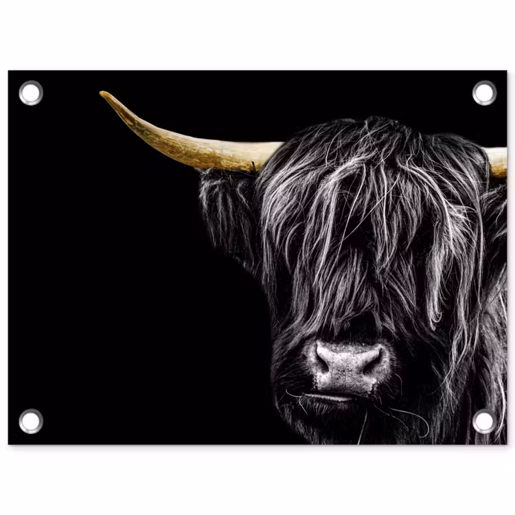 Tuinposter - Schotse hooglander - Goud - Vacht - Dieren - Koe — 1