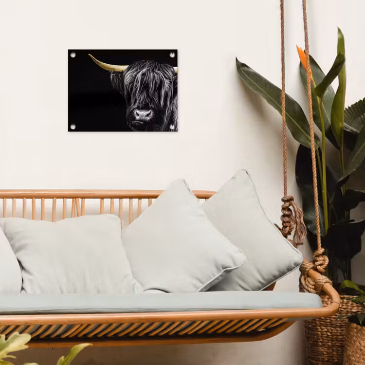 Tuinposter - Schotse hooglander - Goud - Vacht - Dieren - Koe — 4