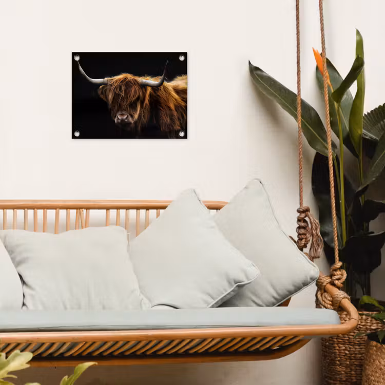Tuinposter - Schotse Hooglander - Horens - Zwart - Dieren - Natuur - Wild - Koe — 4