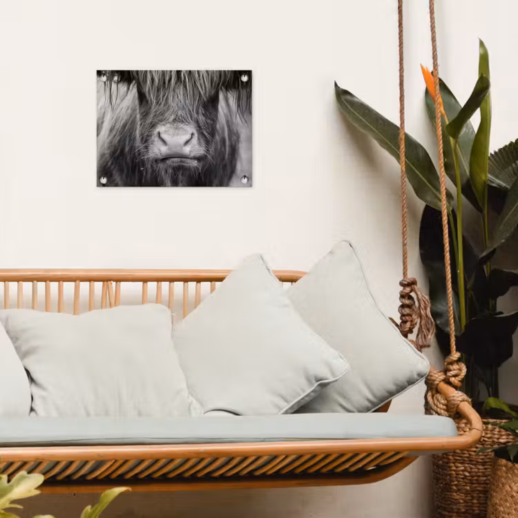 Tuinposter - Schotse hooglander - Koe - Zwart - Wit - Dieren — 4