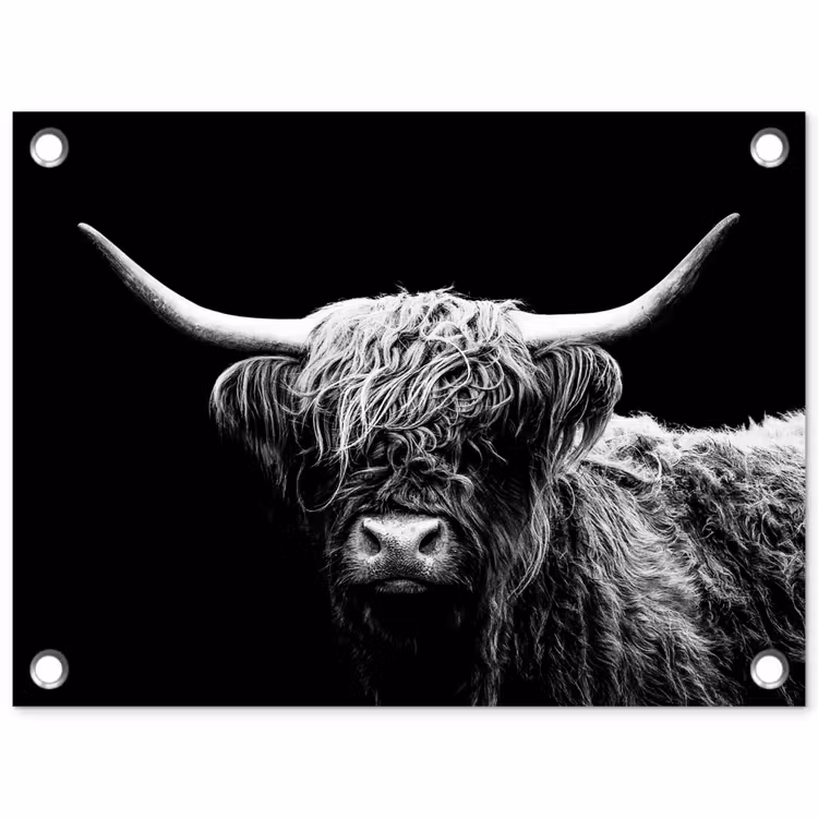 Tuinposter - Schotse Hooglander - Koe - Zwart - Wit - Dieren — 1
