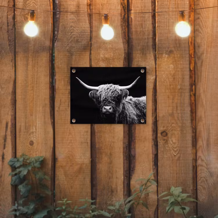 Tuinposter - Schotse Hooglander - Koe - Zwart - Wit - Dieren — 3