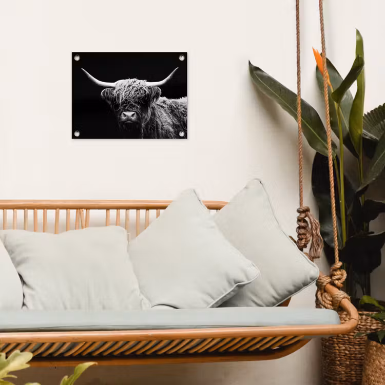 Tuinposter - Schotse Hooglander - Koe - Zwart - Wit - Dieren — 4