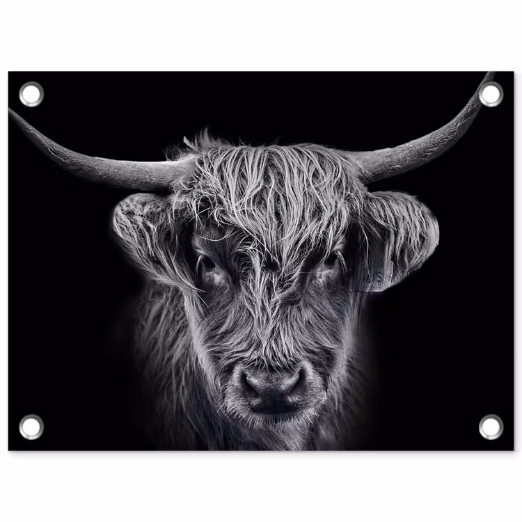 Tuinposter - Schotse hooglander - Zwart - Koe - Dieren — 1