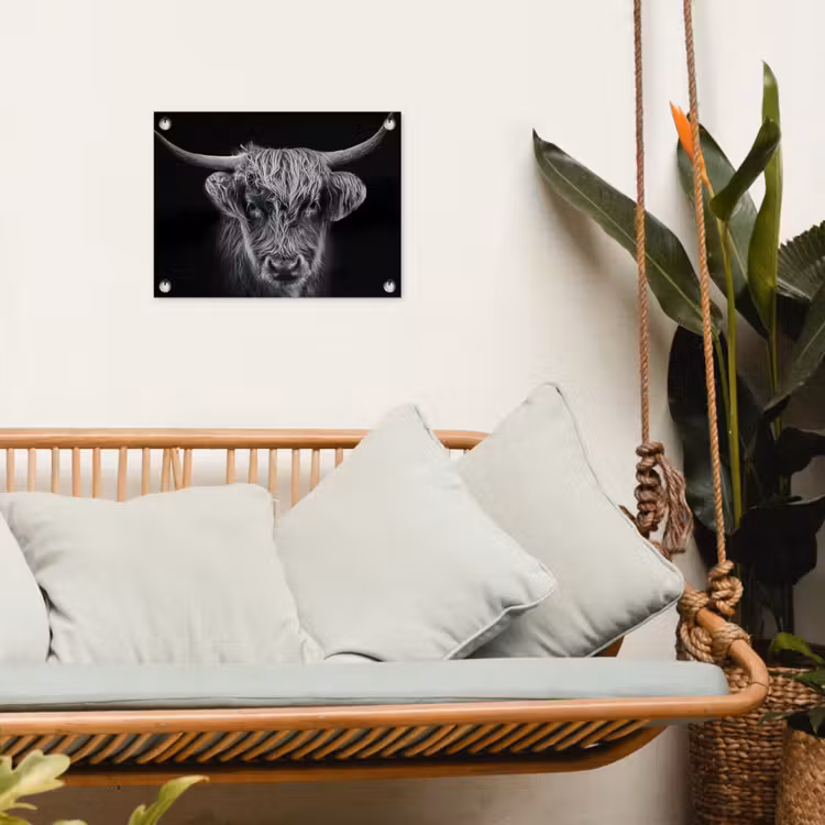 Tuinposter - Schotse hooglander - Zwart - Koe - Dieren — 4