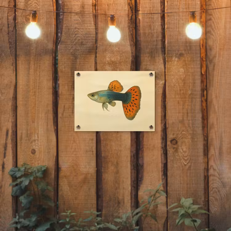 Tuinposter - Vis - illustratie - Stippen - Oranje — 3