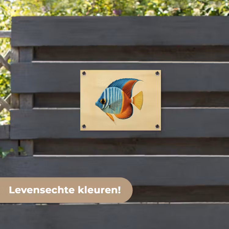 Tuinposter - Vis - Vinnen - Blauw - Ogen — 6