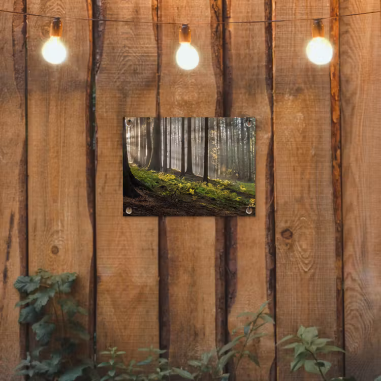 Tuinposter - Zon - Takken - Bomen - Bos - Natuur — 3