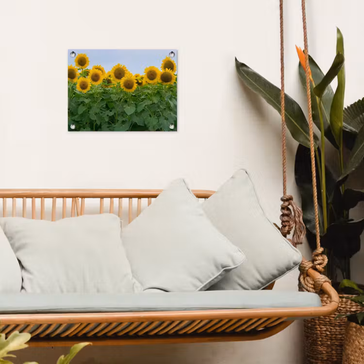 Tuinposter - Zonnebloemen - Geel - Natuur — 4