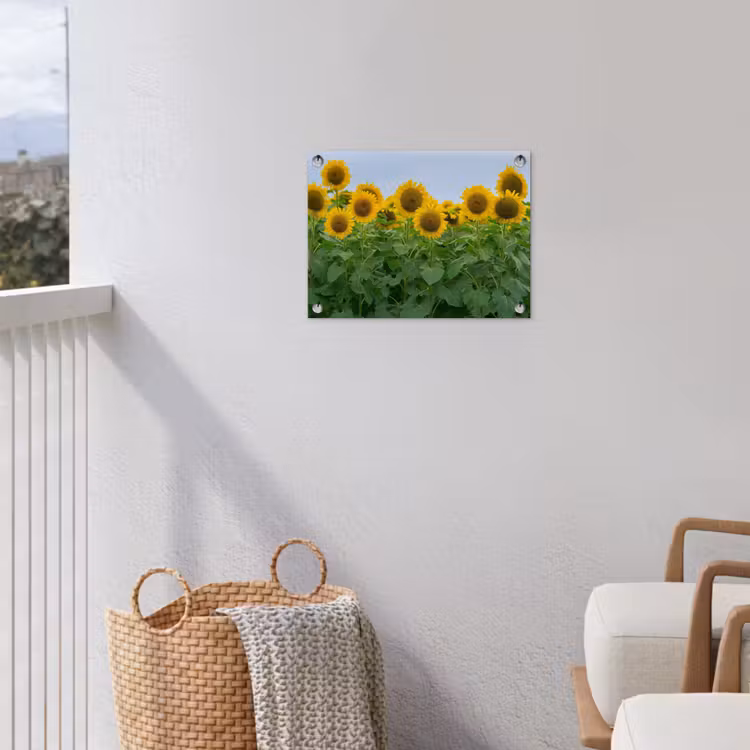 Tuinposter - Zonnebloemen - Geel - Natuur — 5