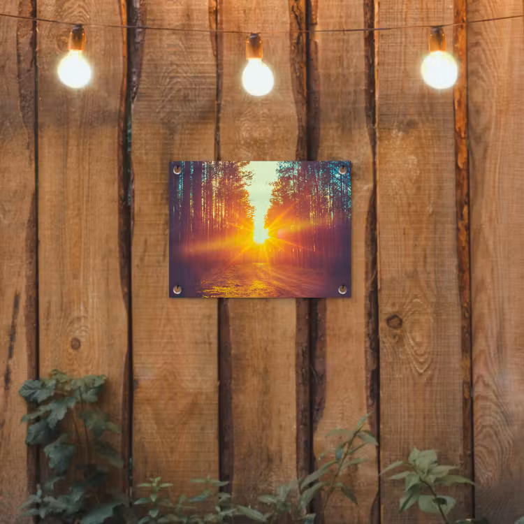 Tuinposter - Zonsondergang - Bomen - Bos - Natuur — 3