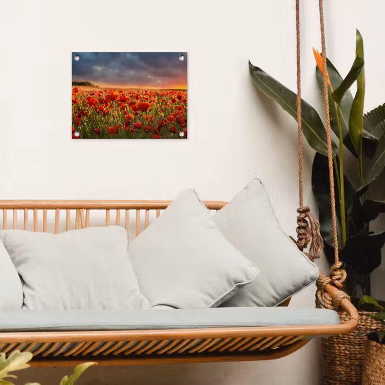 Tuinposter - Zonsondergang - Klaprozen - Rood - Bloemen - Veld - Natuur — 4