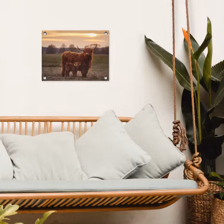 Tuinposter - Schotse hooglander - Dieren - Landschap - Zonsondergang - Koe — 4