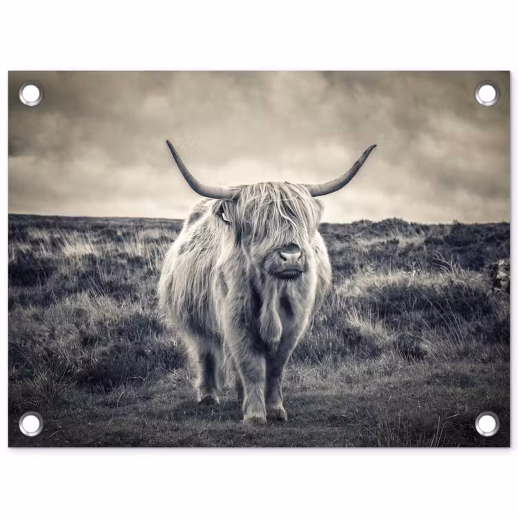 Tuinposter - Schotse hooglander - Dieren - Wolken - Koe - Natuur — 1