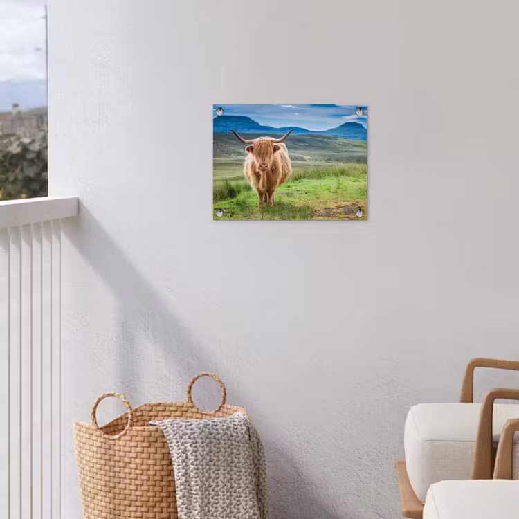 Tuinposter - Schotse hooglander - Koe - Natuur - Berg - Gras — 5
