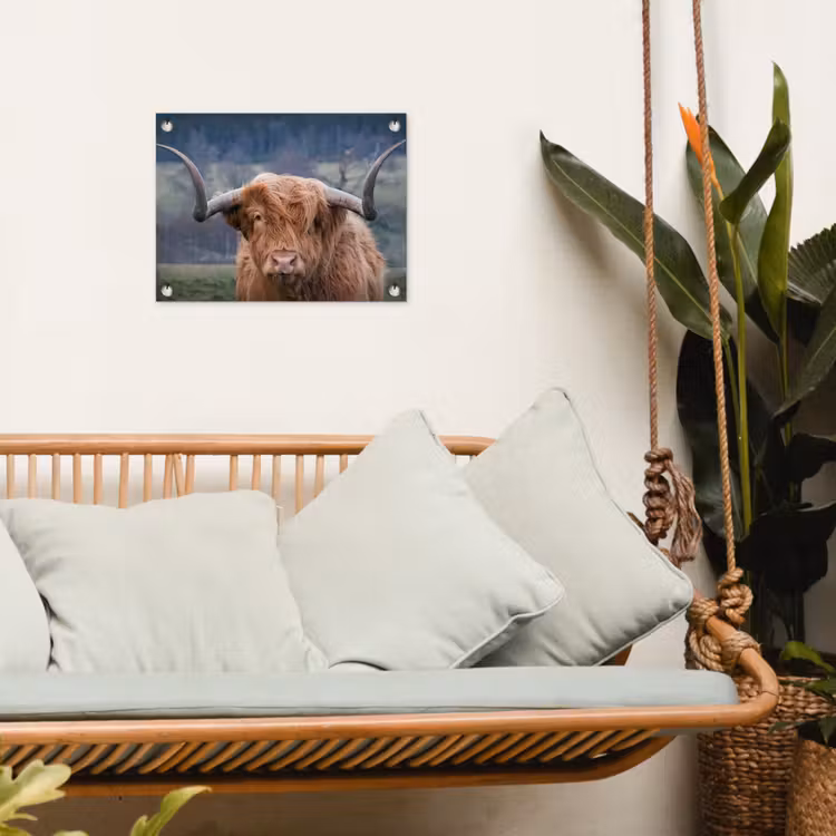 Tuinposter - Schotse Hooglander - Koeienkop - Landschap - Natuur - Koe — 4