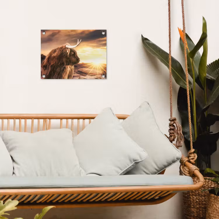 Tuinposter - Schotse hooglander - Zon - Horizon - Koe - Dieren — 4
